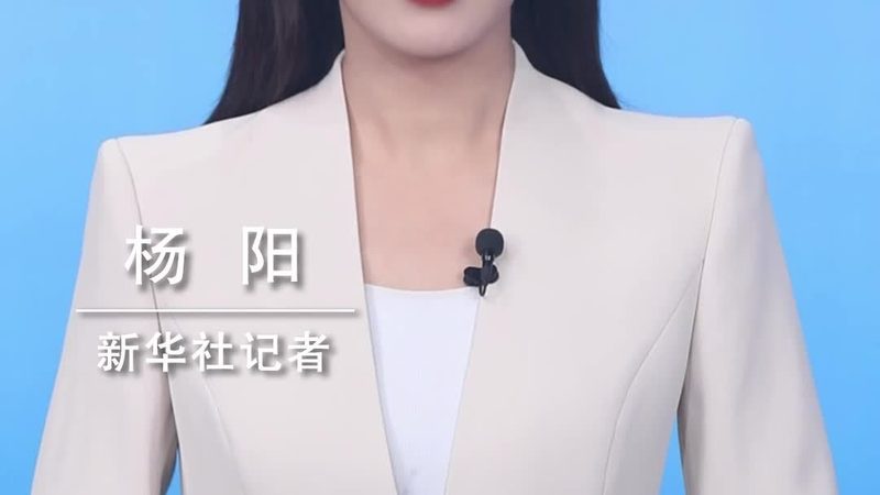 医疗行业SaaS方案：如何规避潜在风险，确保高效稳定运行**